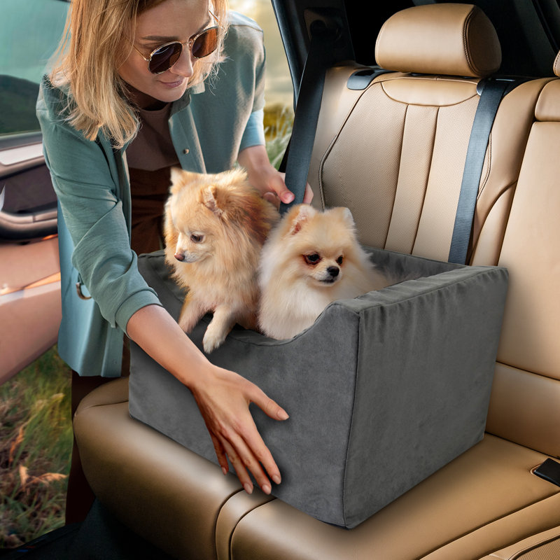 Dollie Co Pilot High Density Foam Dog Car Booster Seat 16 H x 13 W x 19 D Black